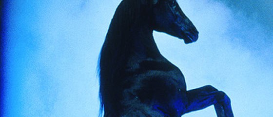 Classic Childhood Horse Books