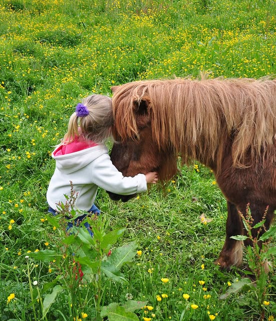 So Your Daughter Wants a Pony
