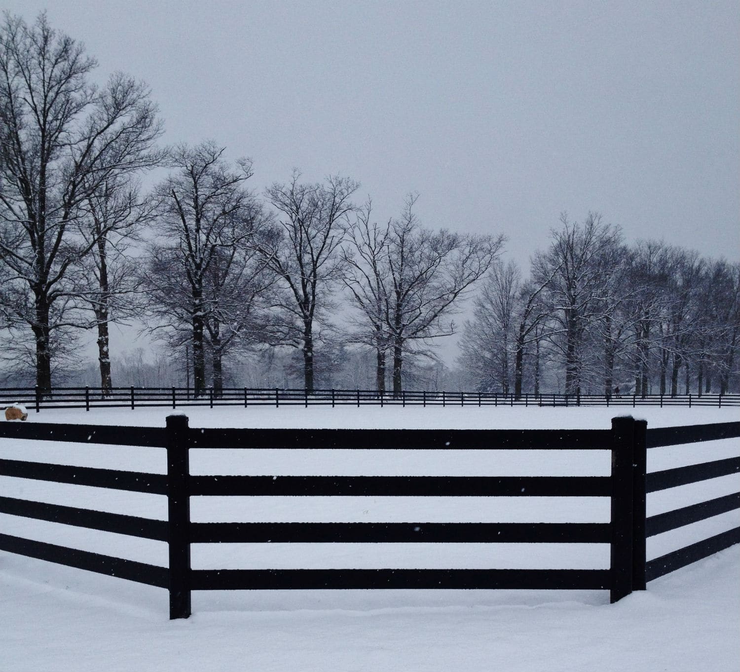 Buckley-Fence-LLC-Steel-Black-Fence-Horse-Ring-Snow-PA