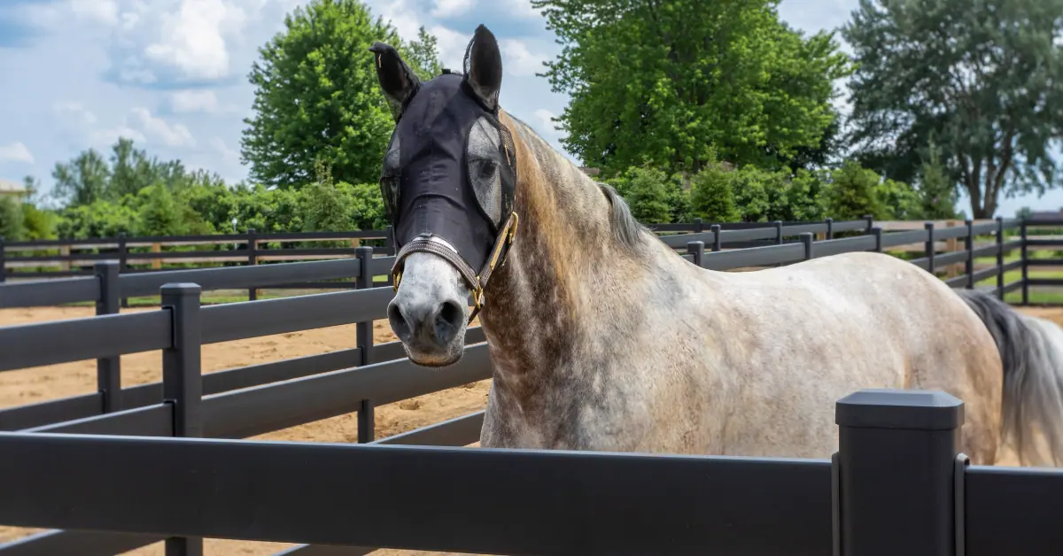 Horse Cribbing: What It Is & How to Stop It