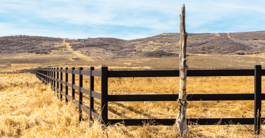 Horse Fencing: How to Find the Perfect Height for Your Fence