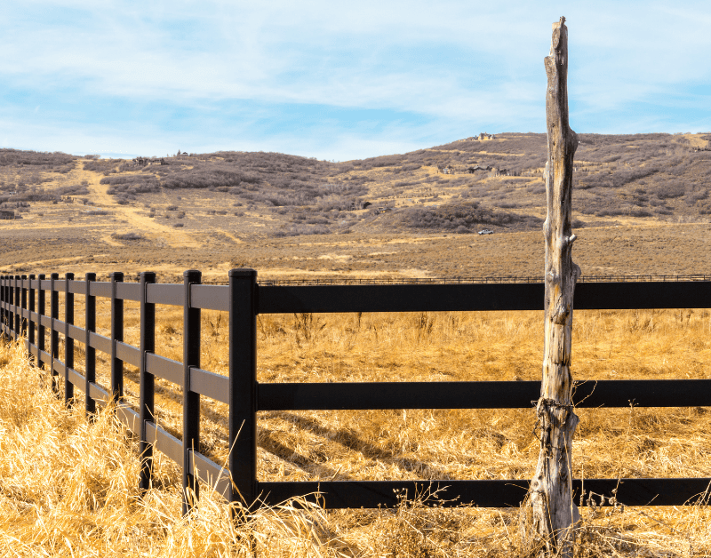 Horse Fencing: How to Find the Perfect Height for Your Fence
