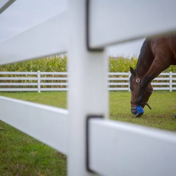 Benefits of Steel Board Fences