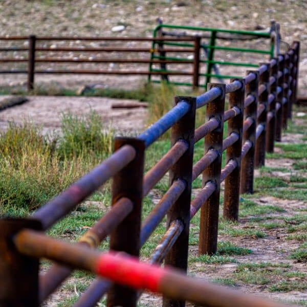 Galvanized Pipe Fence