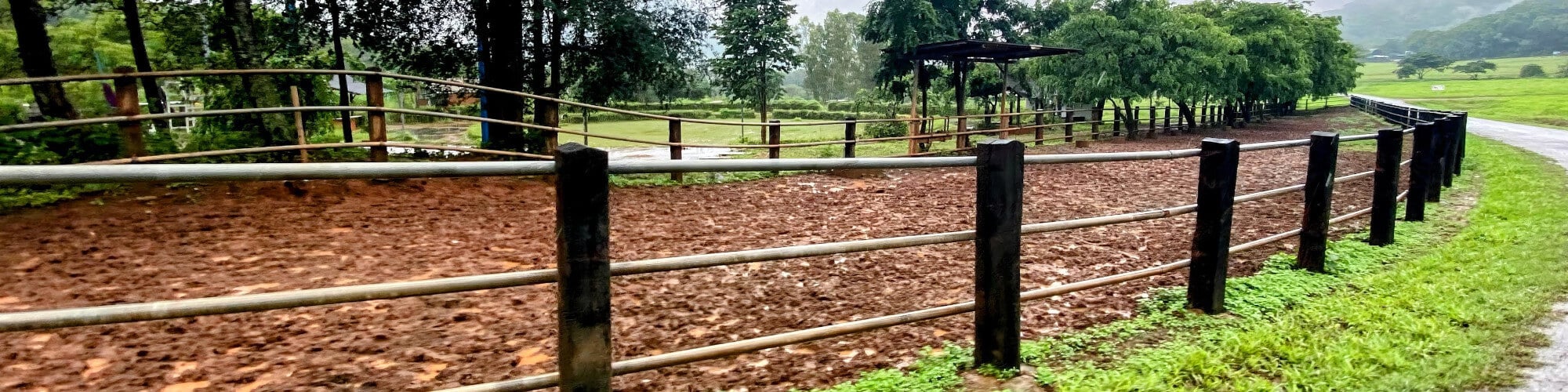 Are Pipe Fences Safe For Horses?