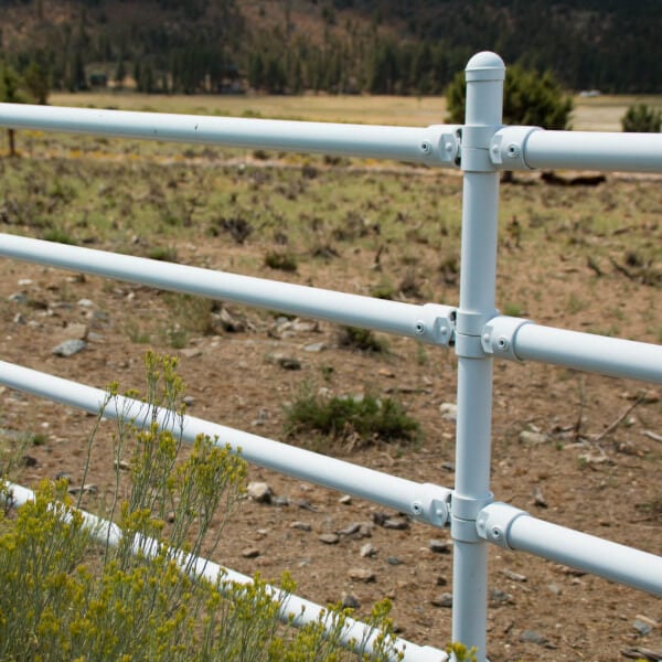 Powder Coated Pipe Fence