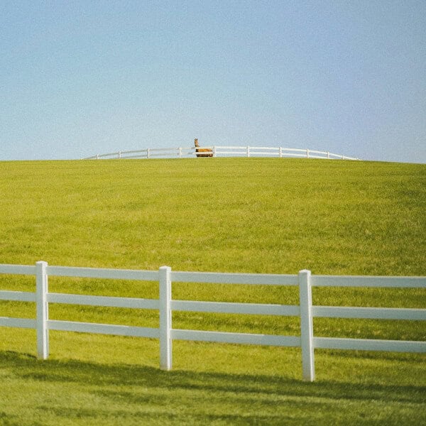Vinyl Horse Fence