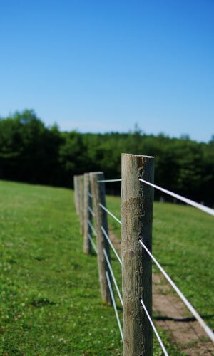 Wire Fence vs Other Types of Fence