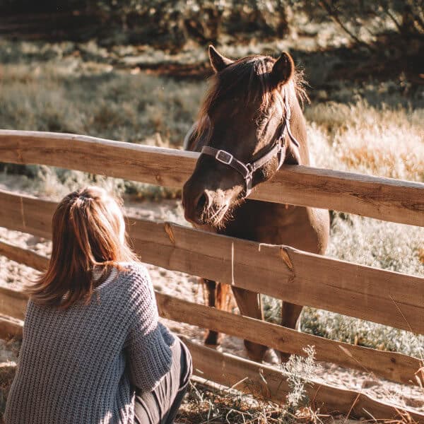 Wooden Horse Fence